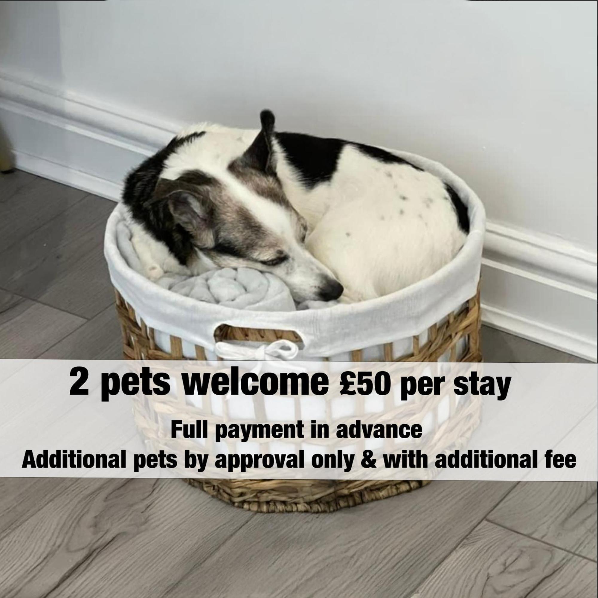 The Trail Special Apartment In Afan Forest Bike Park By Staystaycations Cymmer Esterno foto